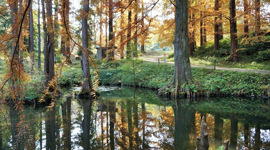 🏞️ 달의 고리 폭포 (츠키노와타키) 이미지 3